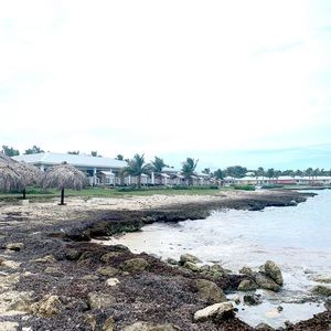 Meet your Posher, Lane